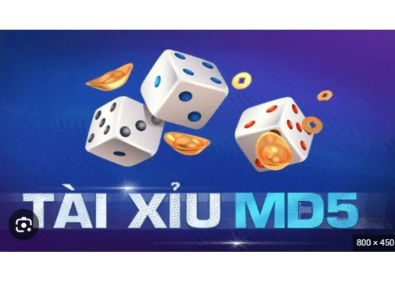 Tính minh bạch của tài xỉu MD5 có đáng tin cậy không?
